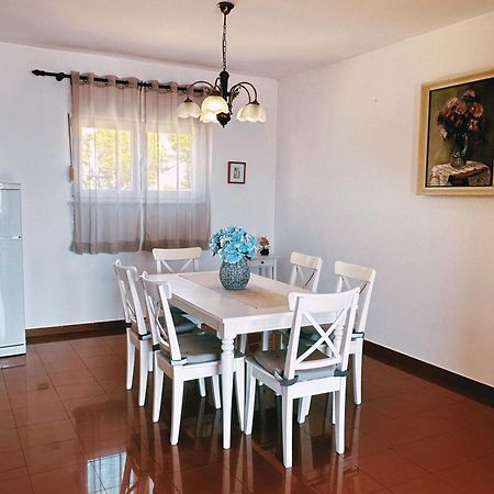 Apartments Vilma Murter Ngoại thất bức ảnh