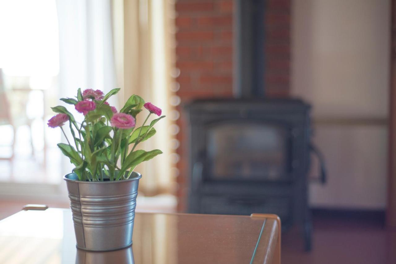 Apartments Vilma Murter Ngoại thất bức ảnh